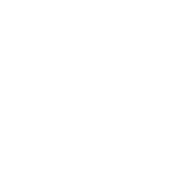Credit Card Statement