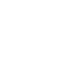 Pay Stub